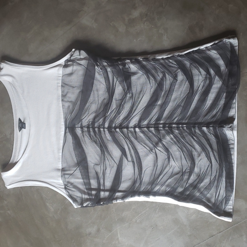Ann Taylor Petite Top
